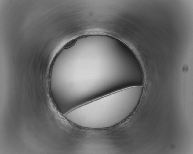 X0000111631008200907171124
