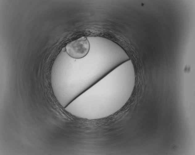 X0000111631009200907171123