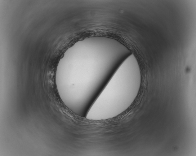 X0000111631010200907171123