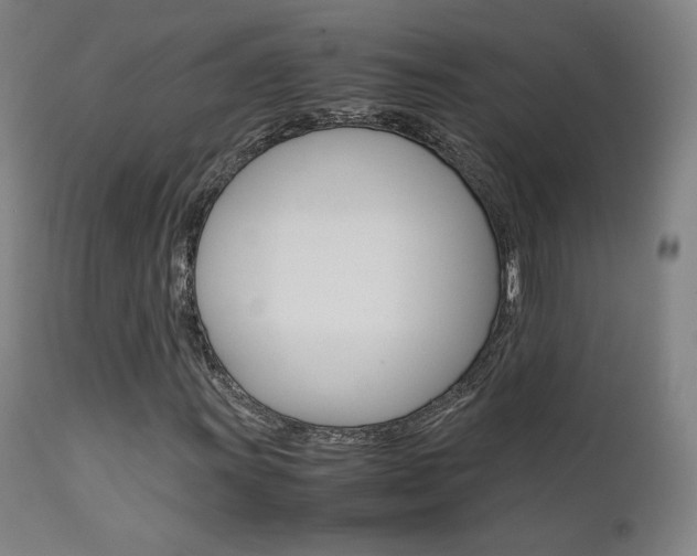 X0000111631011200907171123