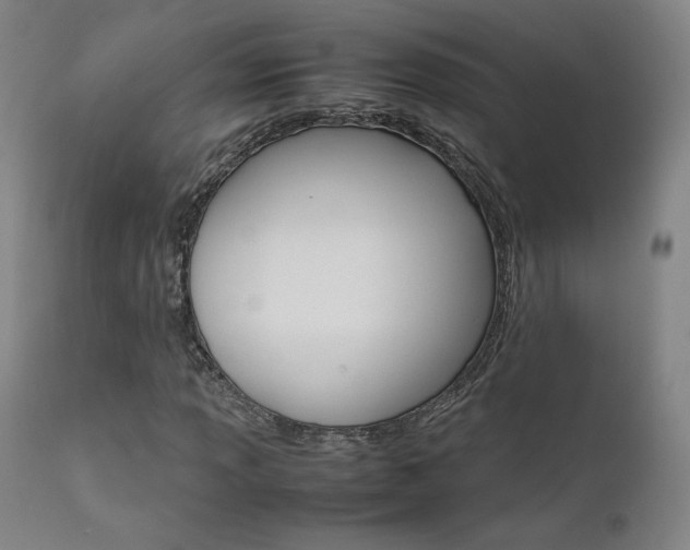 X0000111631013200907171123