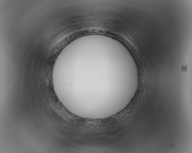 X0000111631015200907171123