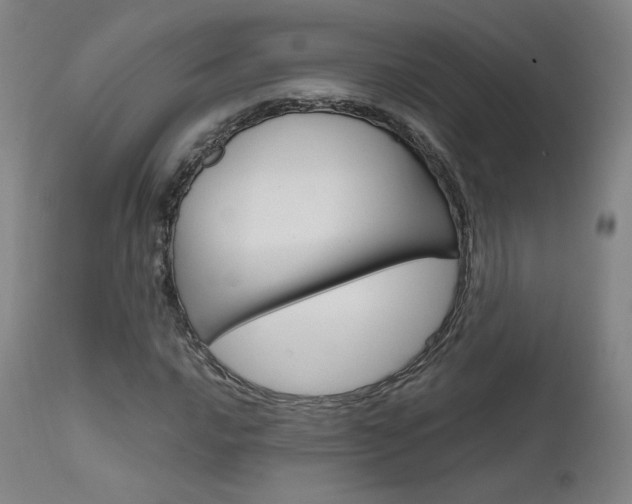 X0000111631016200907171123