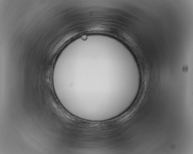 X0000111631017200907171123