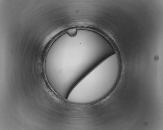 X0000111631018200907171123