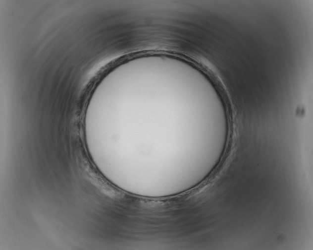 X0000111631019200907171123