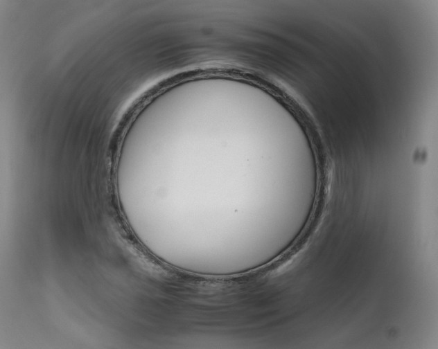 X0000111631021200907171123