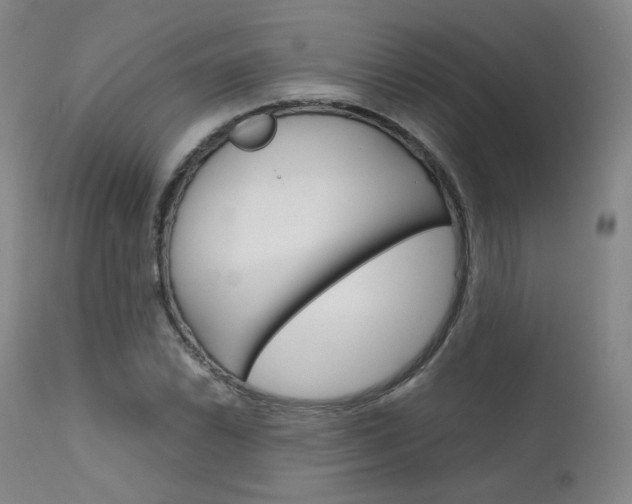 X0000111631022200907171123