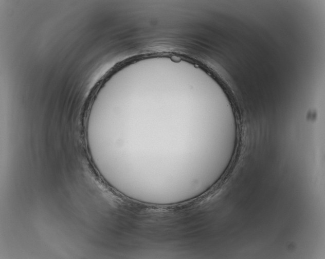 X0000111631023200907171123