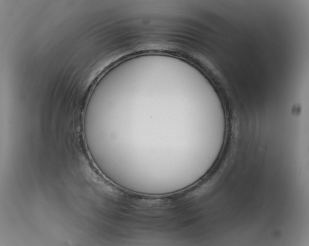 X0000111631025200907171123