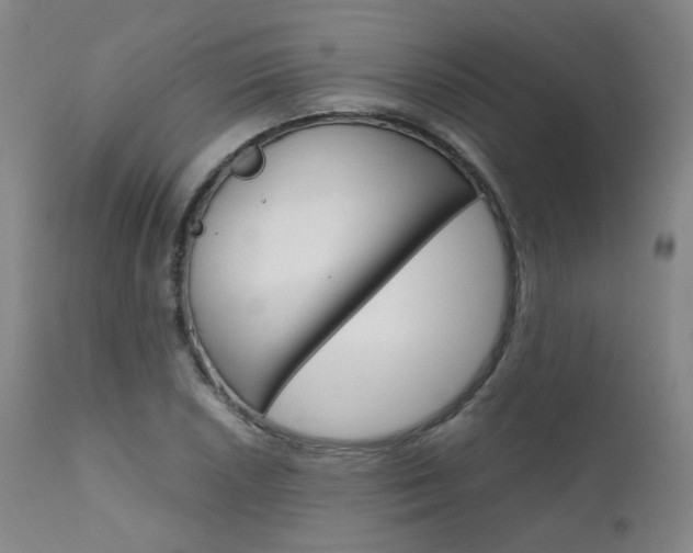 X0000111631026200907171123
