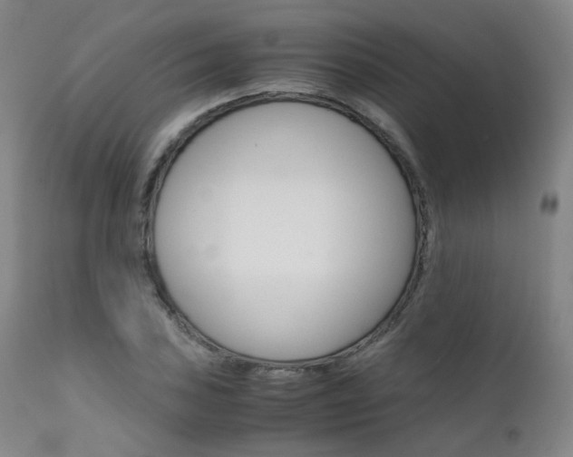 X0000111631027200907171123