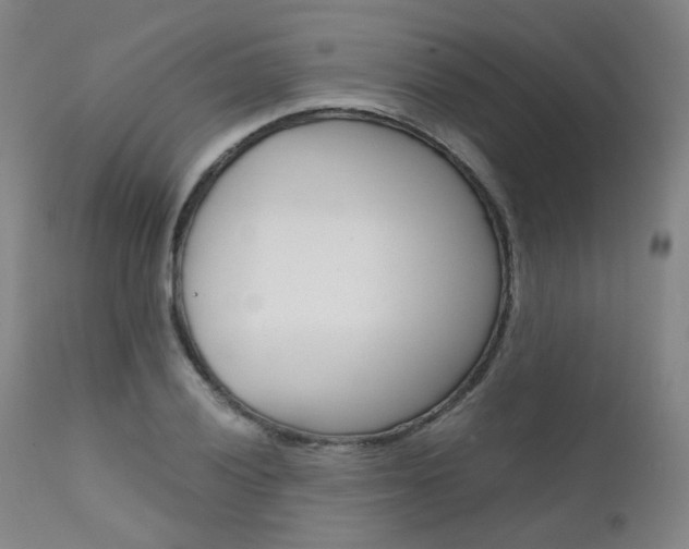 X0000111631028200907171123