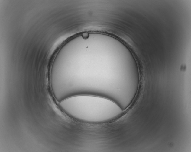 X0000111631030200907171123