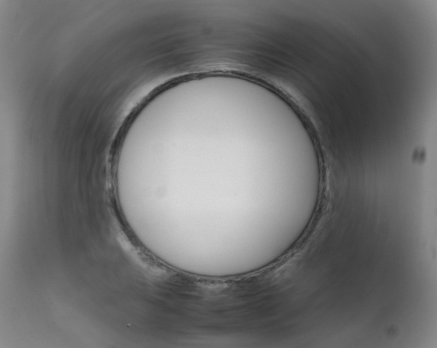 X0000111631031200907171123
