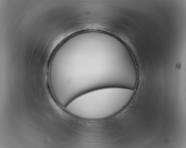 X0000111631032200907171123