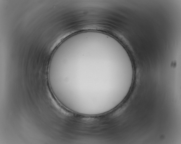 X0000111631033200907171123