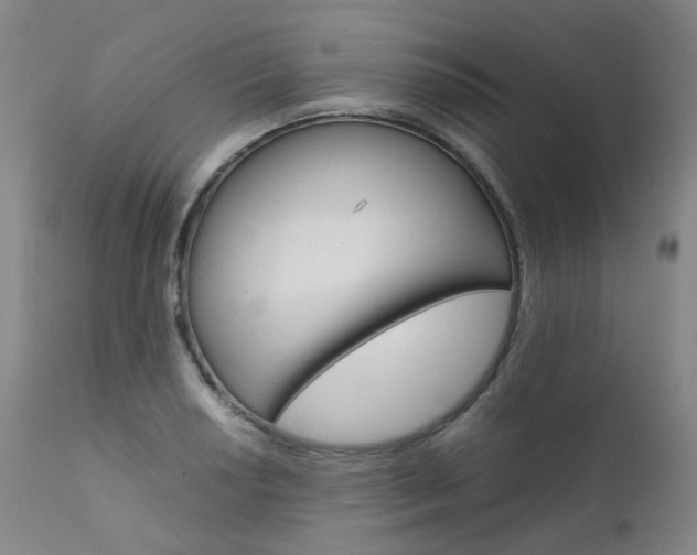 X0000111631034200907171123