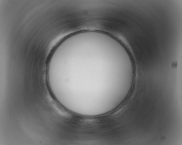 X0000111631035200907171123