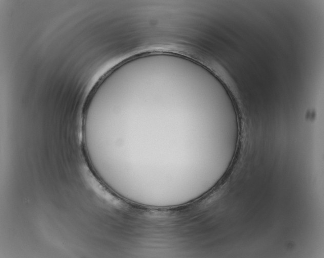 X0000111631036200907171123