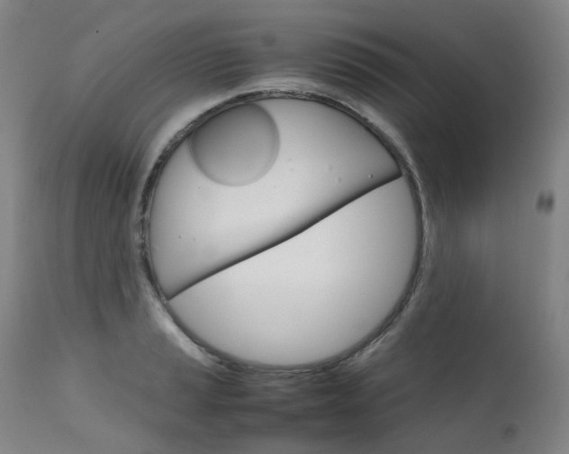 X0000111631037200907171123