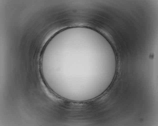 X0000111631039200907171123