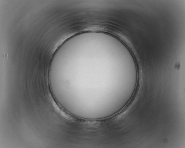 X0000111631041200907171123