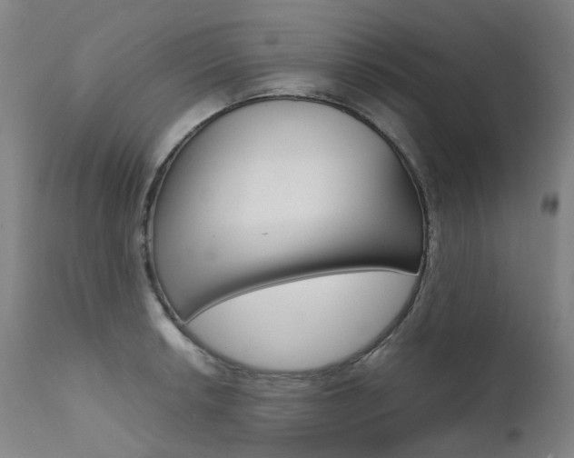 X0000111631042200907171123