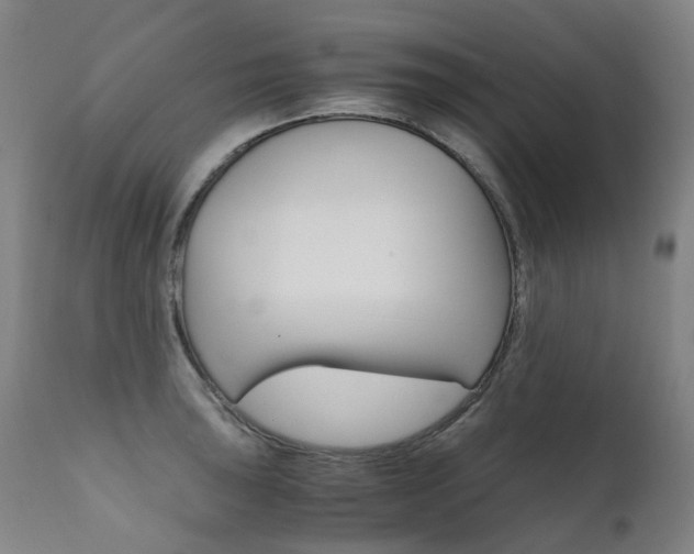 X0000111631043200907171123