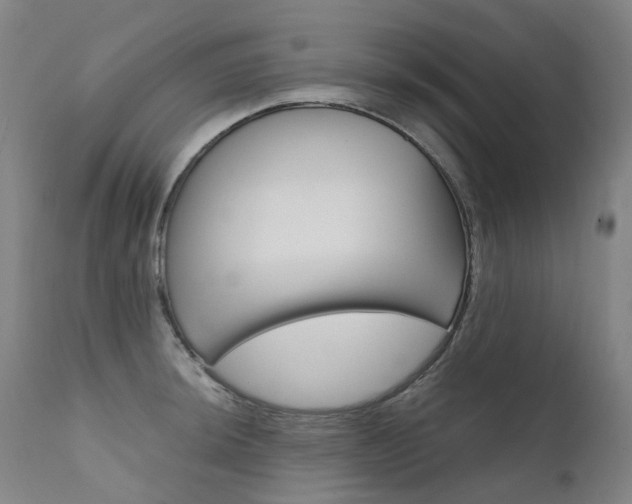 X0000111631044200907171123