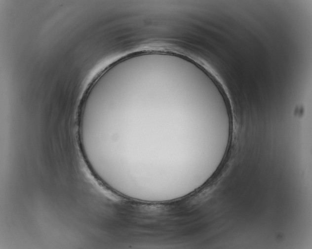 X0000111631045200907171123