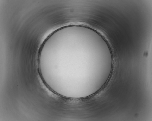 X0000111631046200907171123