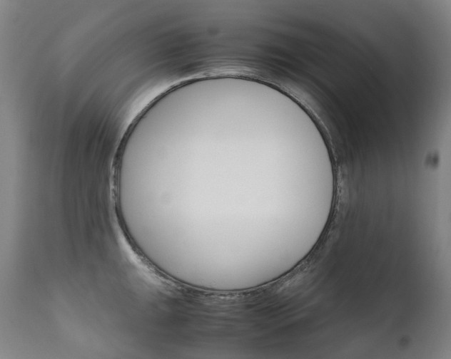 X0000111631047200907171123