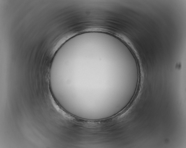 X0000111631049200907171123