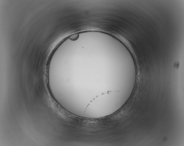 X0000111631051200907171123