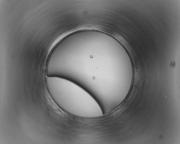 X0000111631052200907171123