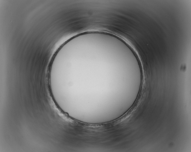 X0000111631053200907171124