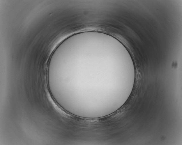 X0000111631055200907171124