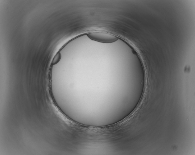 X0000111631056200907171124