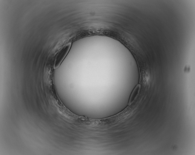 X0000111631060200907171123