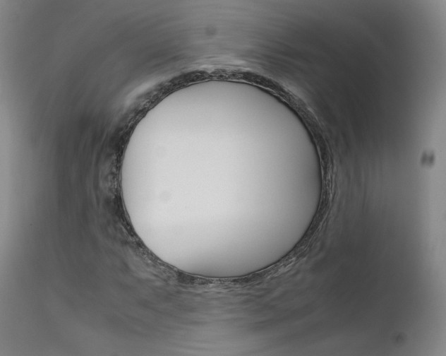 X0000111631063200907171123