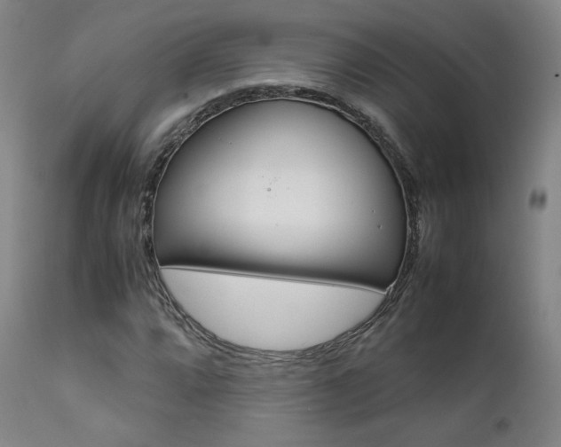 X0000111631064200907171123