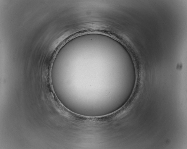 X0000111631065200907171123