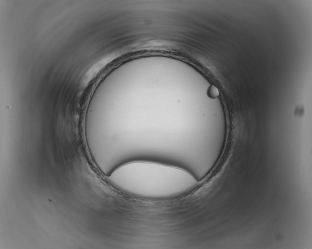 X0000111631066200907171123