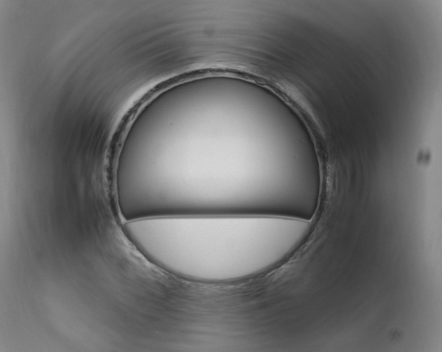 X0000111631068200907171123