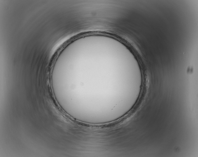 X0000111631069200907171123
