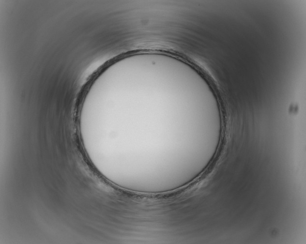 X0000111631071200907171123
