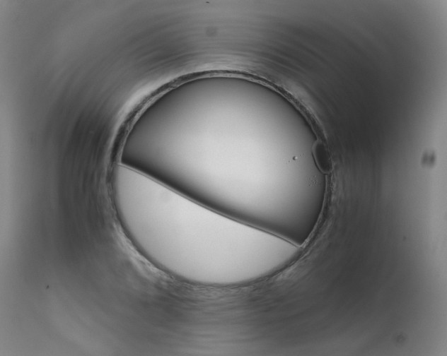 X0000111631072200907171123