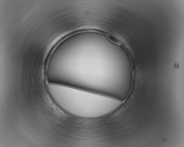 X0000111631076200907171122