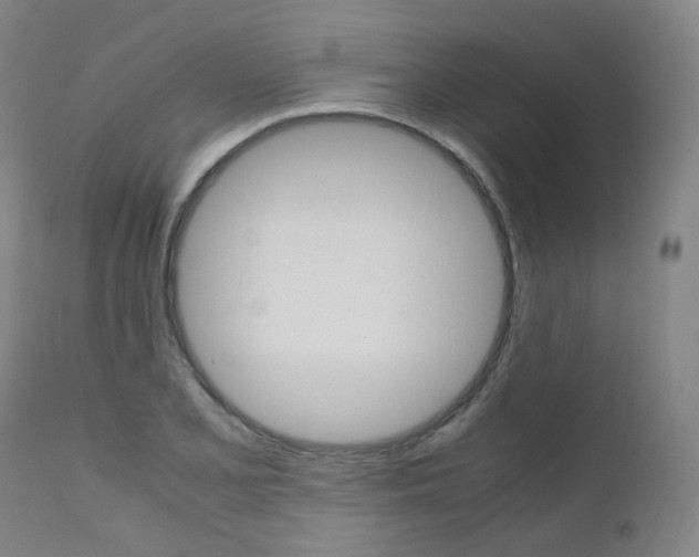 X0000111631077200907171122